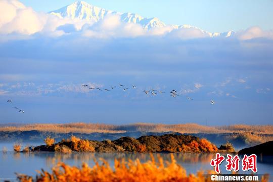 中国最大内陆淡水湖获专项资金修复1.5万亩湿地